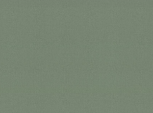 Обои TC72460-77 TREND Nature вин гор теснени 1,06*10м