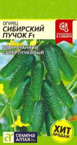 Семена Сем Алт Огурец Сибирский Пучок F1 цв.п.5 шт у/ранний
