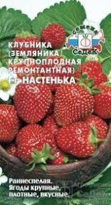 Семена Седек Земляника Настенька F1 ремон.15 шт цв.п.
