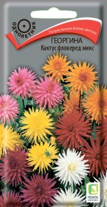 Семена Поиск Георгина Кактус фловеред микс однолетнее  2гр цв.п