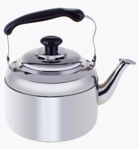 Чайник нжс 5 л без свистка RGS-KD5291/5 